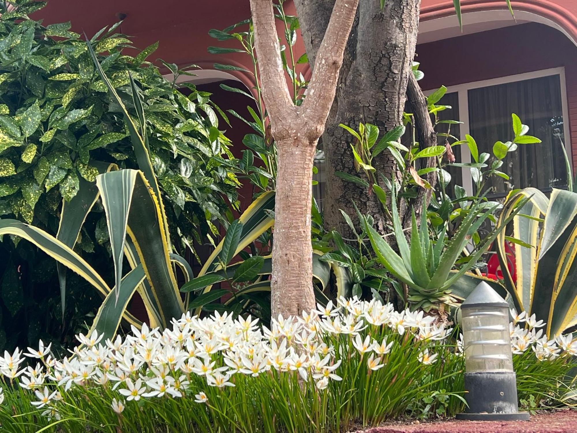 גוניו Gold Guest House מראה חיצוני תמונה