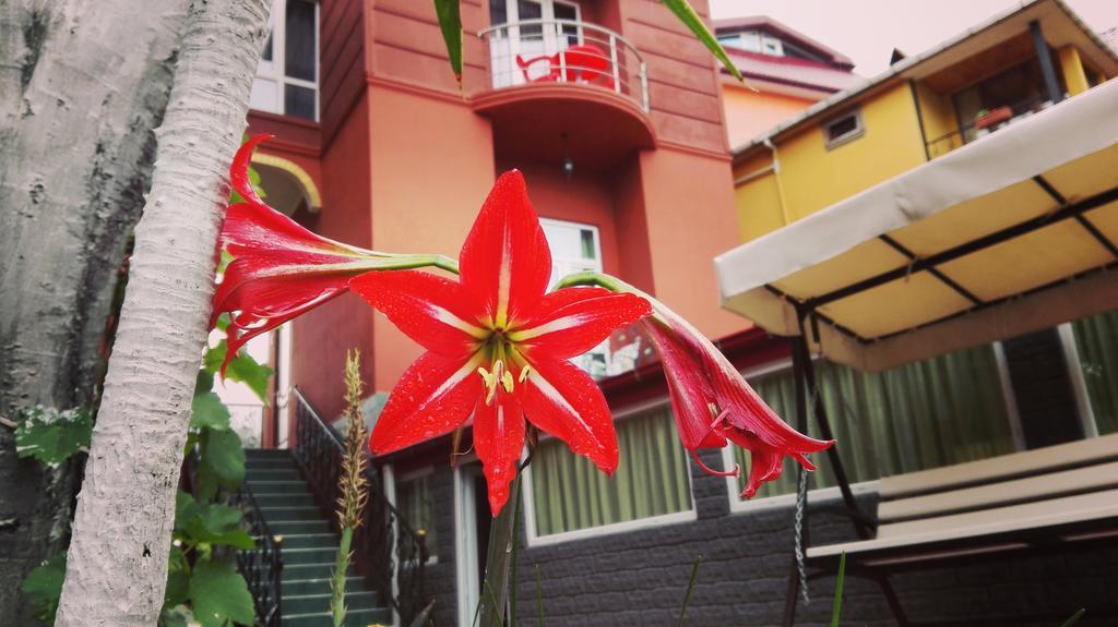 גוניו Gold Guest House מראה חיצוני תמונה